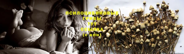 трава Балабаново