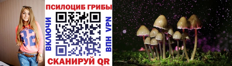 Псилоцибиновые грибы прущие грибы  где купить   Малоярославец 